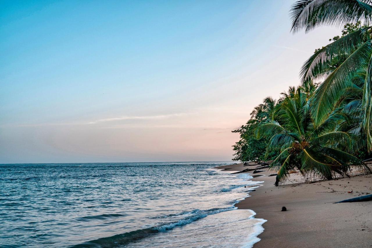 Casitas Las Flores Puerto Viejo de Talamanca Ngoại thất bức ảnh