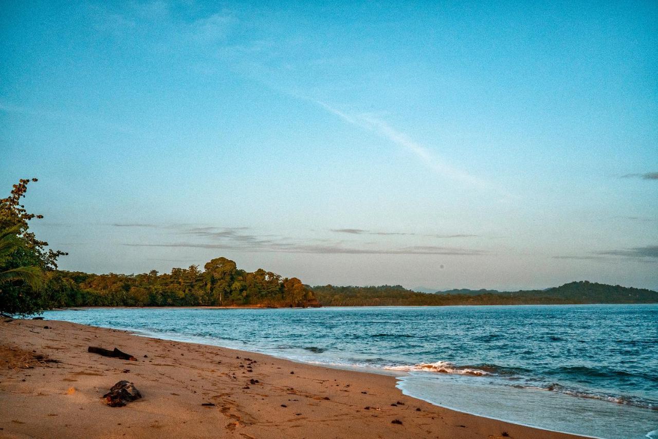 Casitas Las Flores Puerto Viejo de Talamanca Ngoại thất bức ảnh