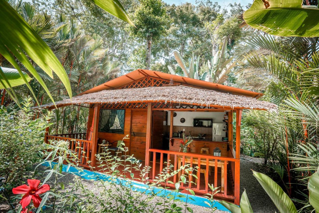 Casitas Las Flores Puerto Viejo de Talamanca Ngoại thất bức ảnh