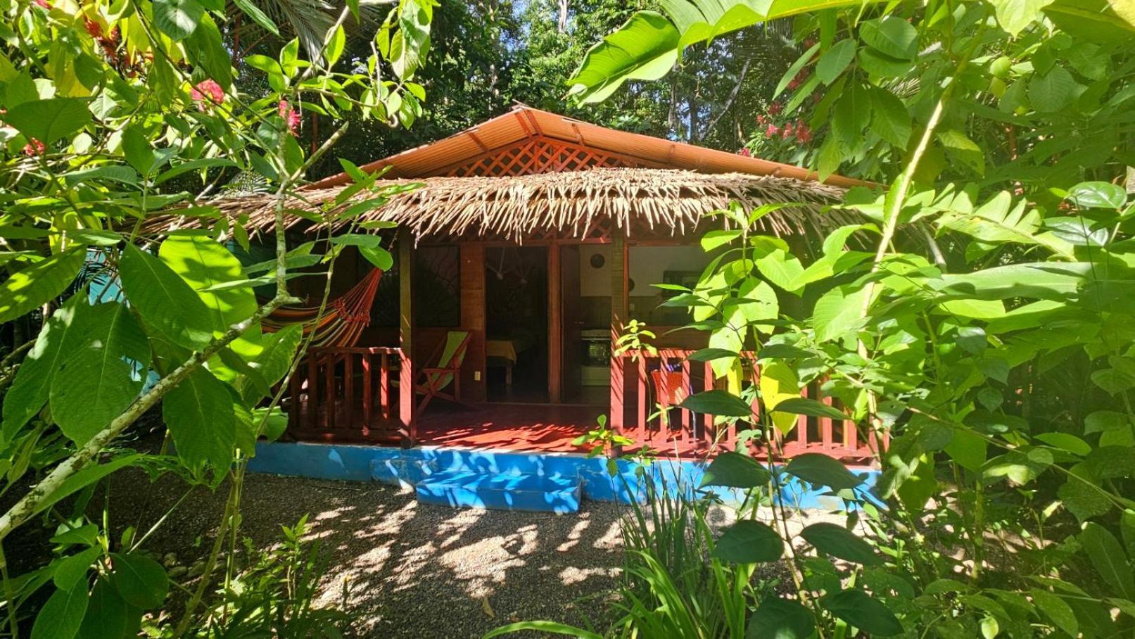 Casitas Las Flores Puerto Viejo de Talamanca Ngoại thất bức ảnh