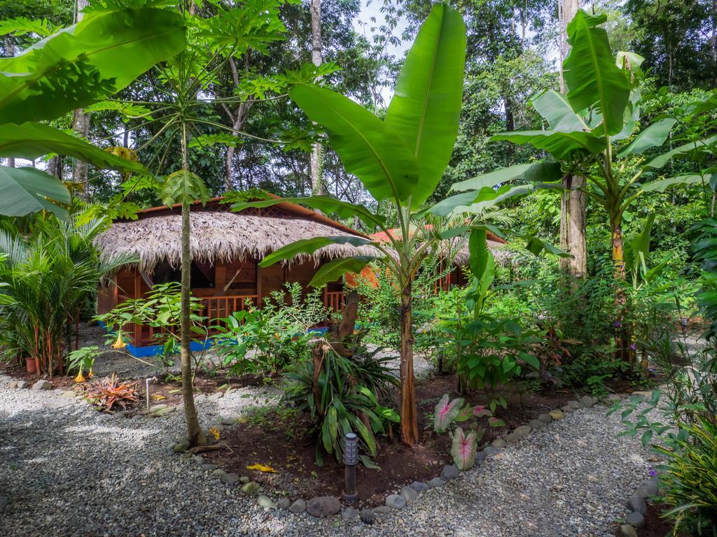 Casitas Las Flores Puerto Viejo de Talamanca Phòng bức ảnh