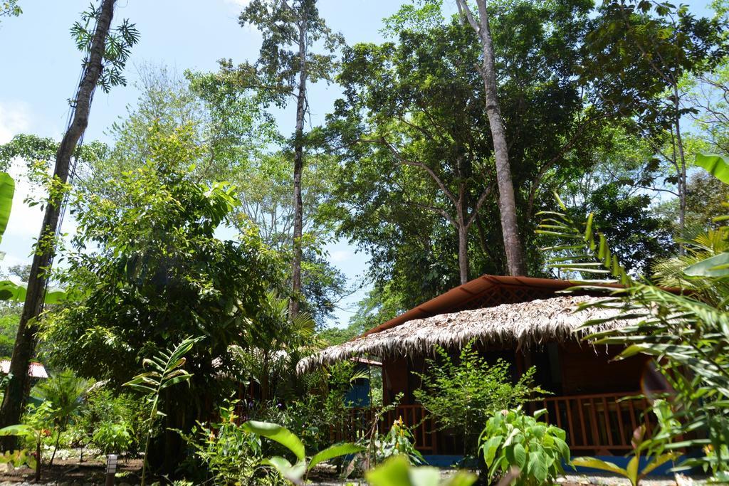 Casitas Las Flores Puerto Viejo de Talamanca Ngoại thất bức ảnh