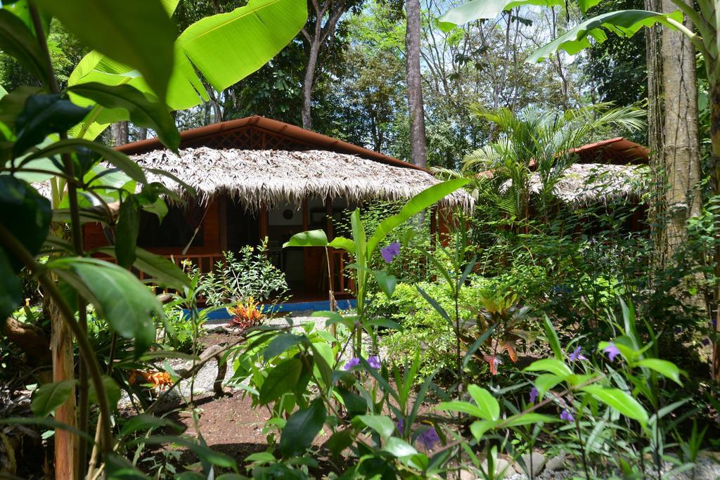 Casitas Las Flores Puerto Viejo de Talamanca Ngoại thất bức ảnh