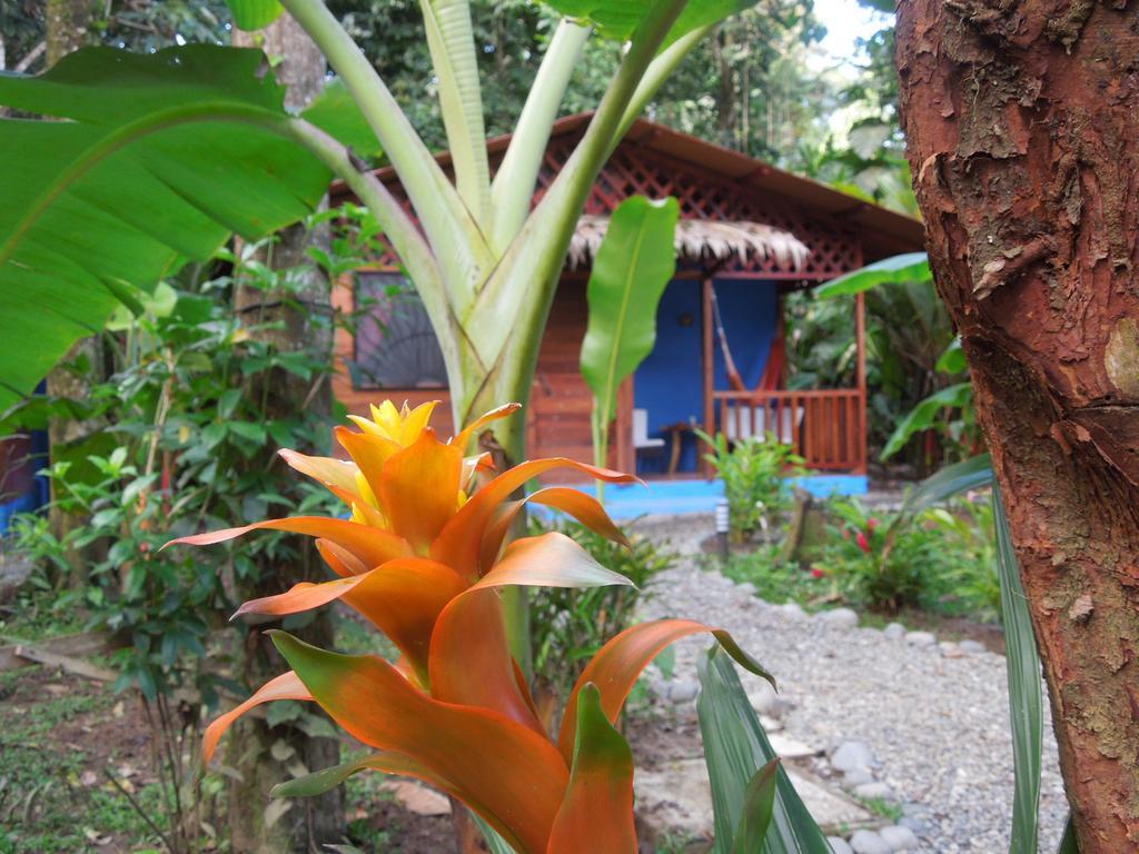 Casitas Las Flores Puerto Viejo de Talamanca Ngoại thất bức ảnh
