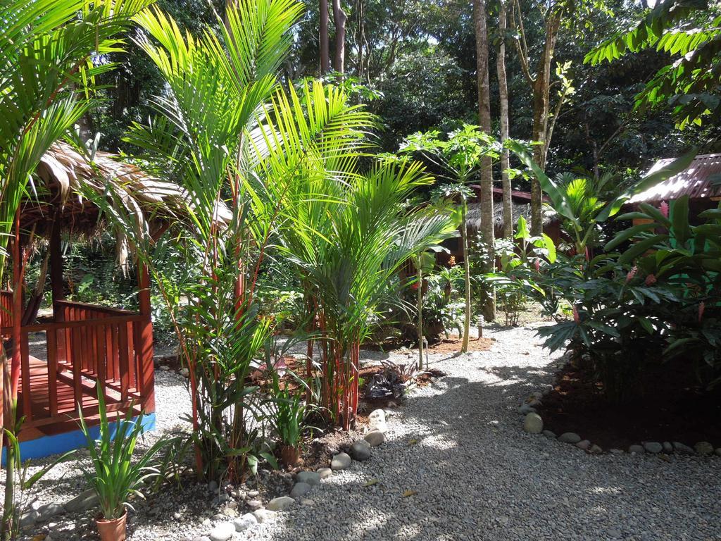 Casitas Las Flores Puerto Viejo de Talamanca Ngoại thất bức ảnh