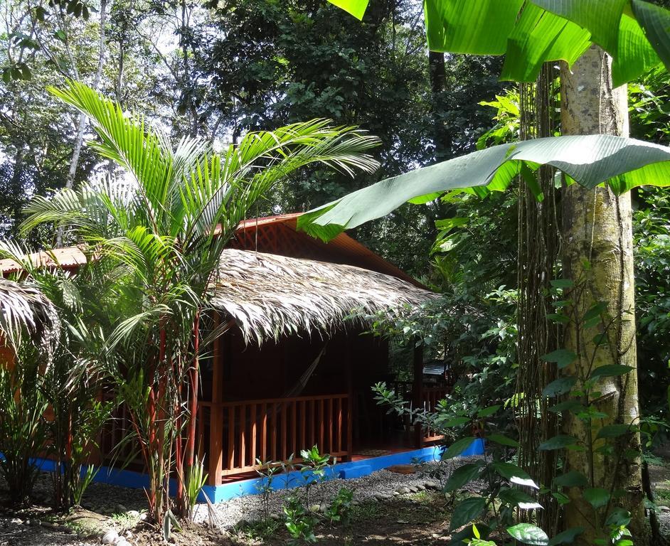 Casitas Las Flores Puerto Viejo de Talamanca Ngoại thất bức ảnh