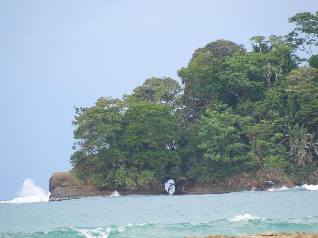 Casitas Las Flores Puerto Viejo de Talamanca Ngoại thất bức ảnh