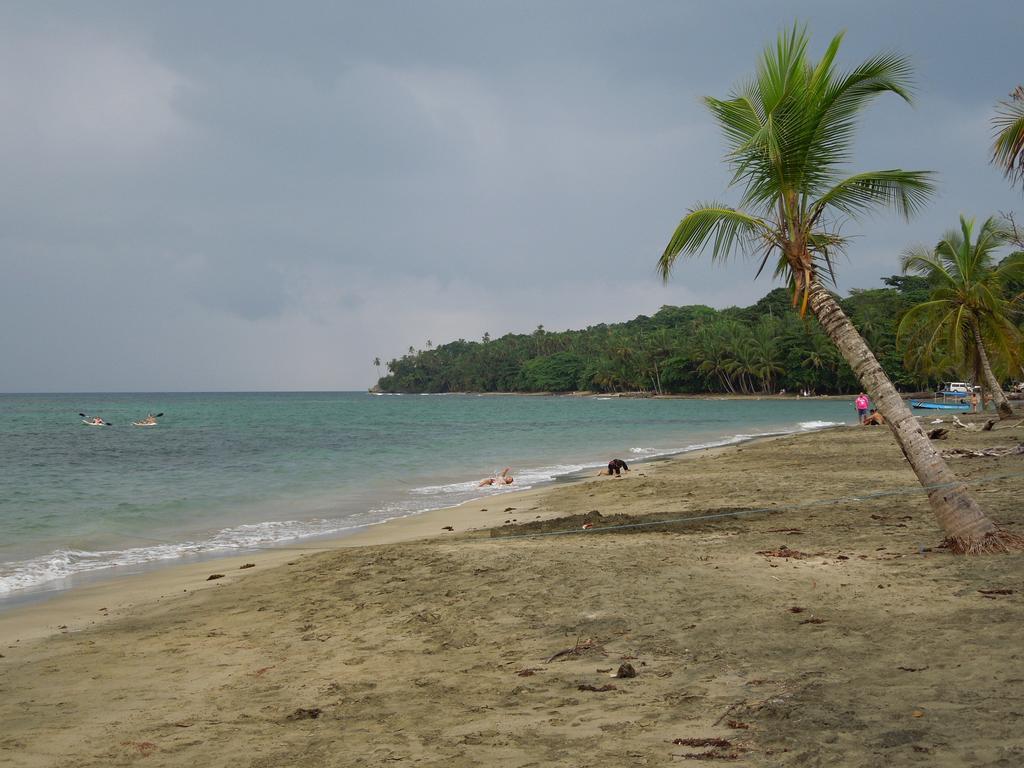 Casitas Las Flores Puerto Viejo de Talamanca Ngoại thất bức ảnh