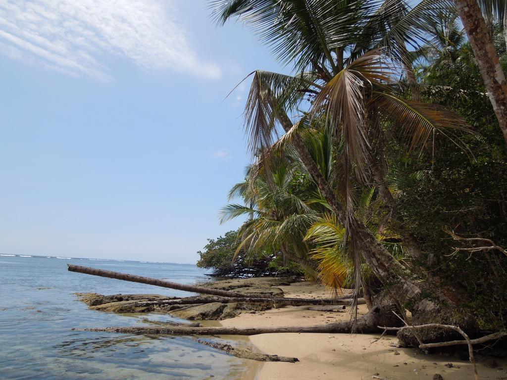 Casitas Las Flores Puerto Viejo de Talamanca Ngoại thất bức ảnh