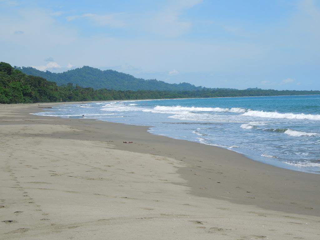 Casitas Las Flores Puerto Viejo de Talamanca Ngoại thất bức ảnh