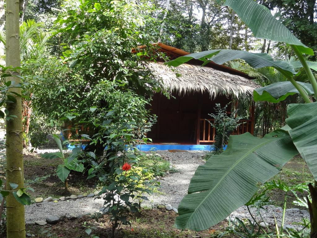 Casitas Las Flores Puerto Viejo de Talamanca Ngoại thất bức ảnh